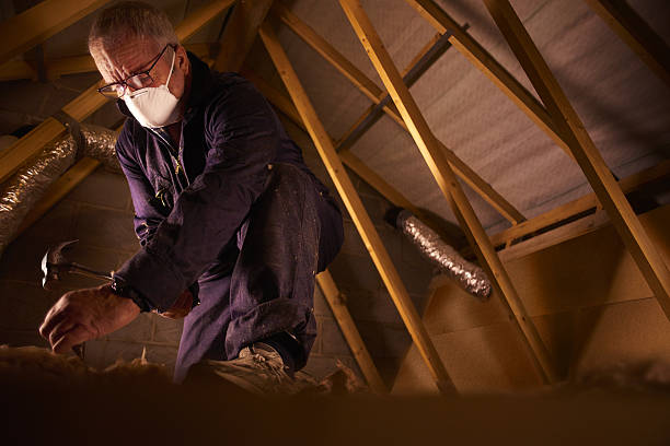 Best Attic Insulation Installation  in Warner Robins, GA